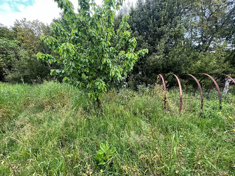 Immagine 20 di Casa indipendente in vendita  in Via San Martino 12 a Collesalvetti