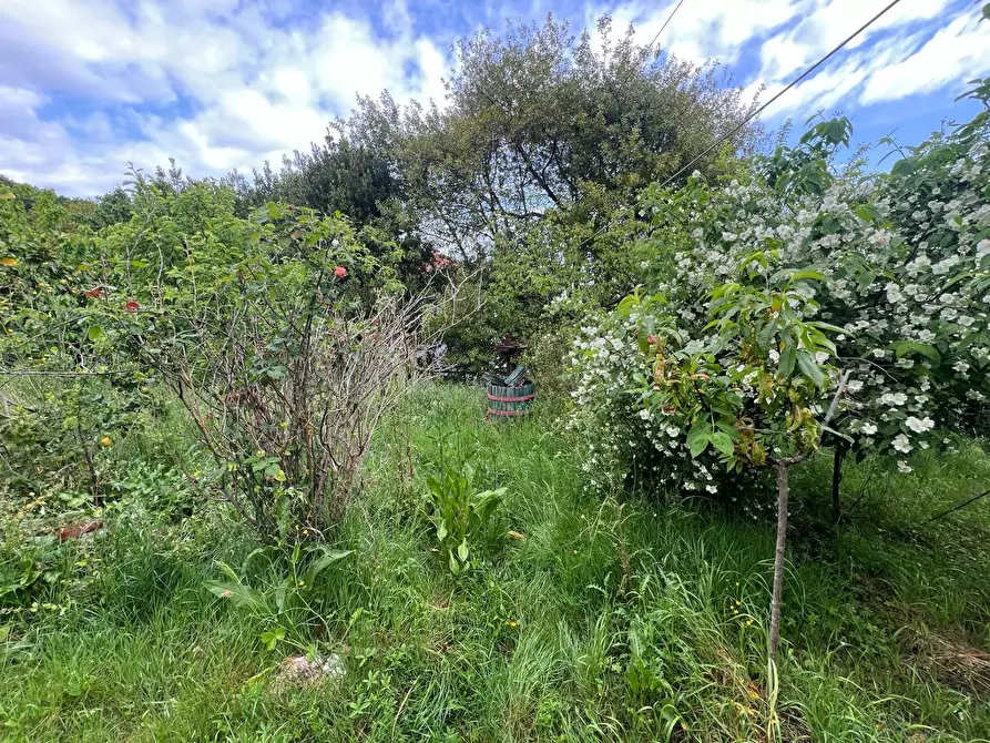 Immagine 21 di Casa indipendente in vendita  in Via San Martino 12 a Collesalvetti