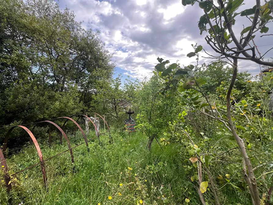 Immagine 22 di Casa indipendente in vendita  in Via San Martino 12 a Collesalvetti