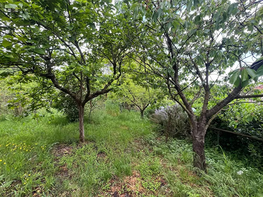 Immagine 24 di Casa indipendente in vendita  in Via San Martino 12 a Collesalvetti