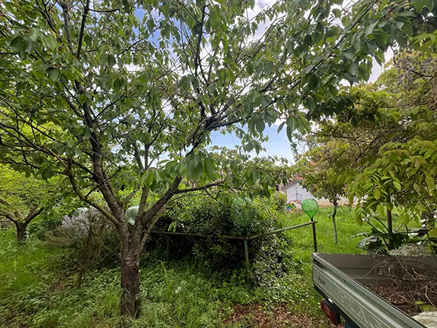 Immagine 25 di Casa indipendente in vendita  in Via San Martino 12 a Collesalvetti