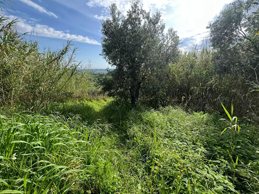 Immagine 29 di Casa indipendente in vendita  in Via San Martino 12 a Collesalvetti