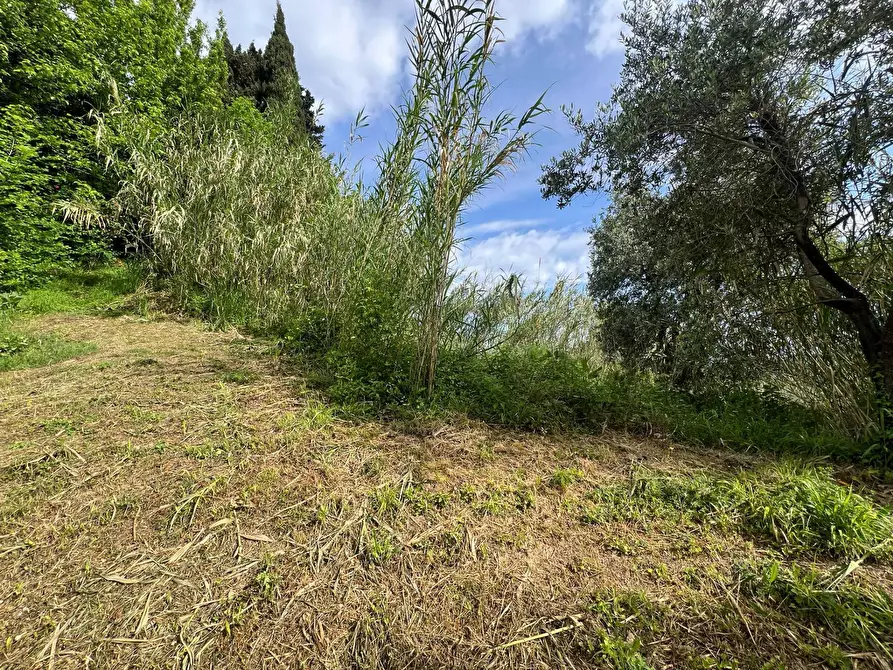 Immagine 30 di Casa indipendente in vendita  in Via San Martino 12 a Collesalvetti
