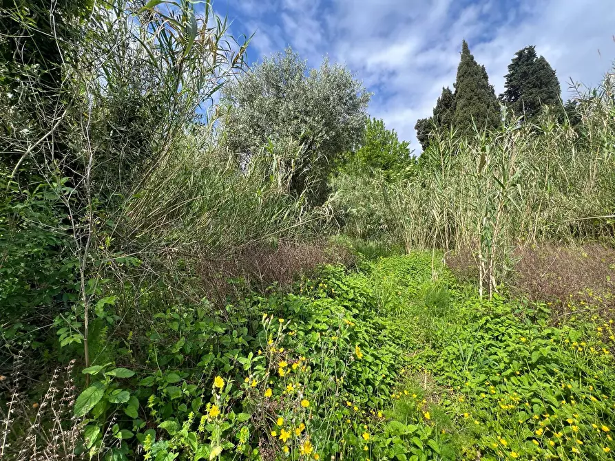 Immagine 31 di Casa indipendente in vendita  in Via San Martino 12 a Collesalvetti