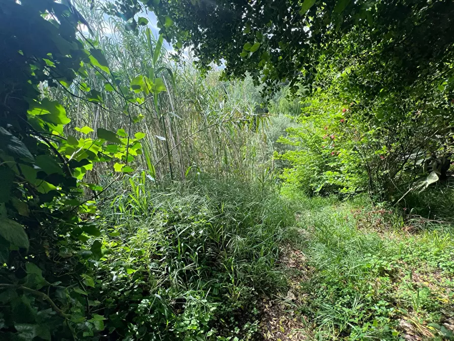 Immagine 32 di Casa indipendente in vendita  in Via San Martino 12 a Collesalvetti