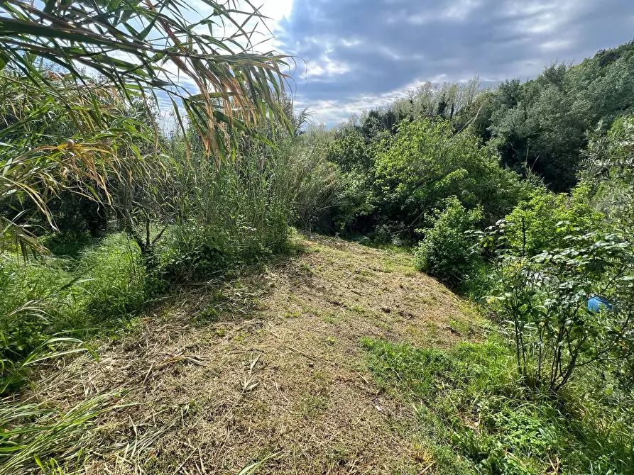 Immagine 33 di Casa indipendente in vendita  in Via San Martino 12 a Collesalvetti