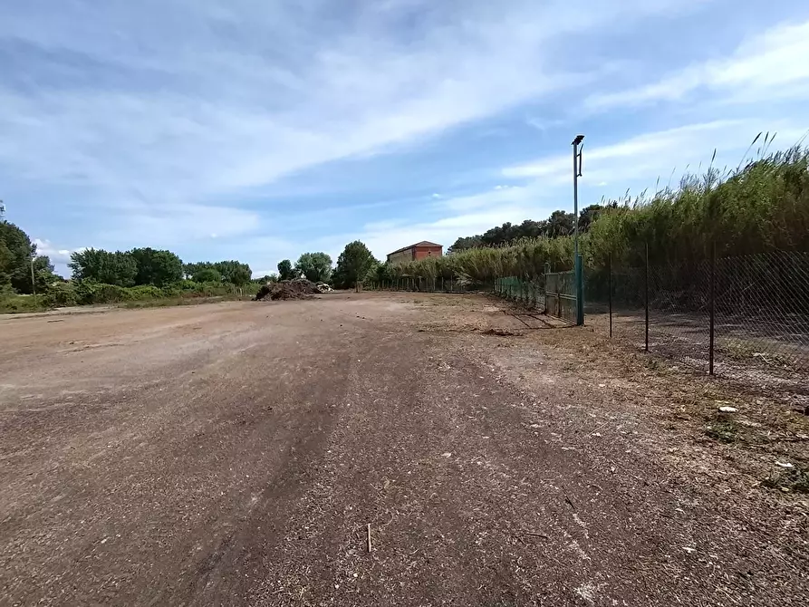 Immagine 2 di Terreno agricolo in affitto  in via fiorentina a Pisa