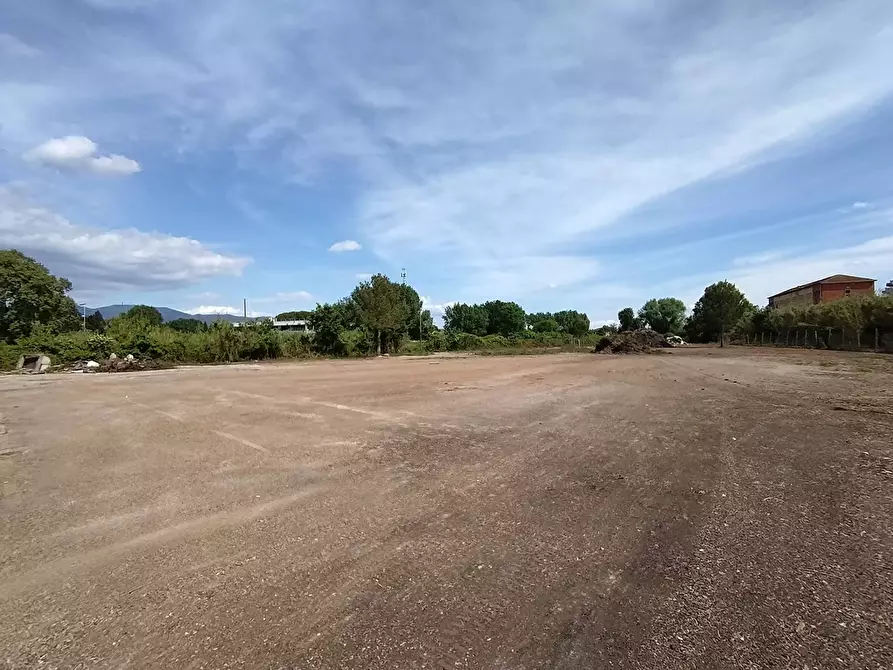 Immagine 3 di Terreno agricolo in affitto  in via fiorentina a Pisa