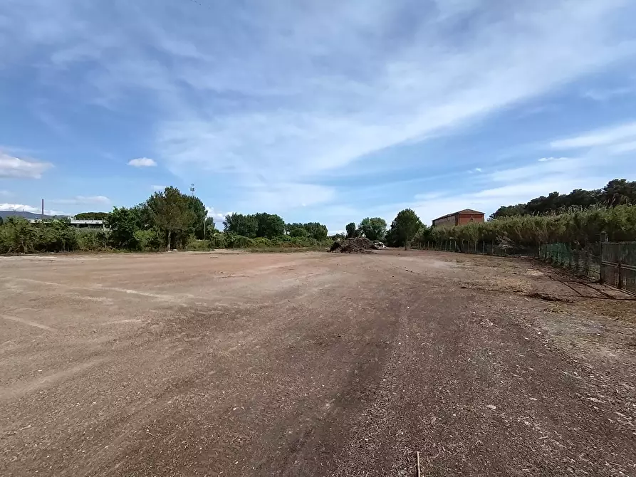 Immagine 4 di Terreno agricolo in affitto  in via fiorentina a Pisa