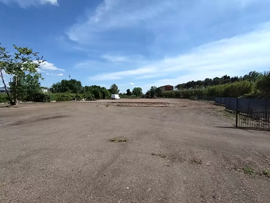 Immagine 6 di Terreno agricolo in affitto  in via fiorentina a Pisa