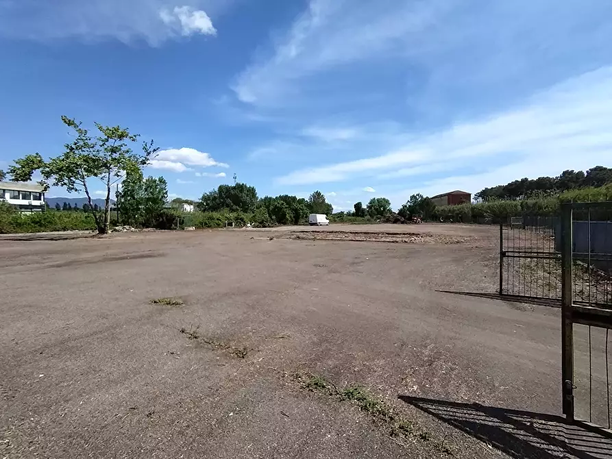 Immagine 7 di Terreno agricolo in affitto  in via fiorentina a Pisa