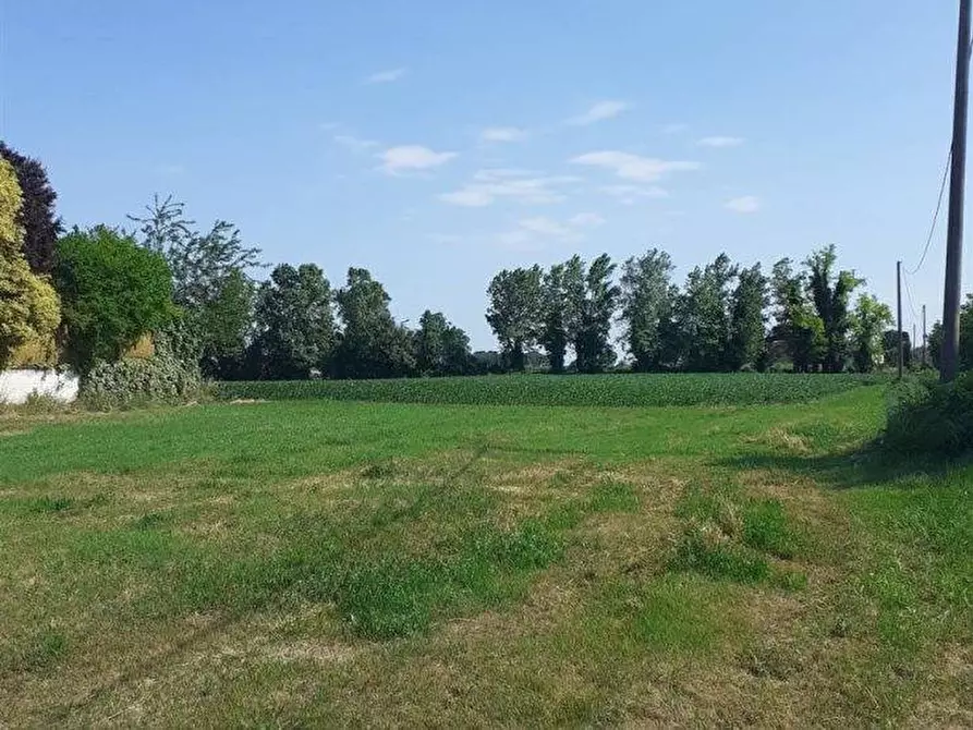 Immagine 1 di Terreno agricolo in vendita  in via livornese 783 a Pisa
