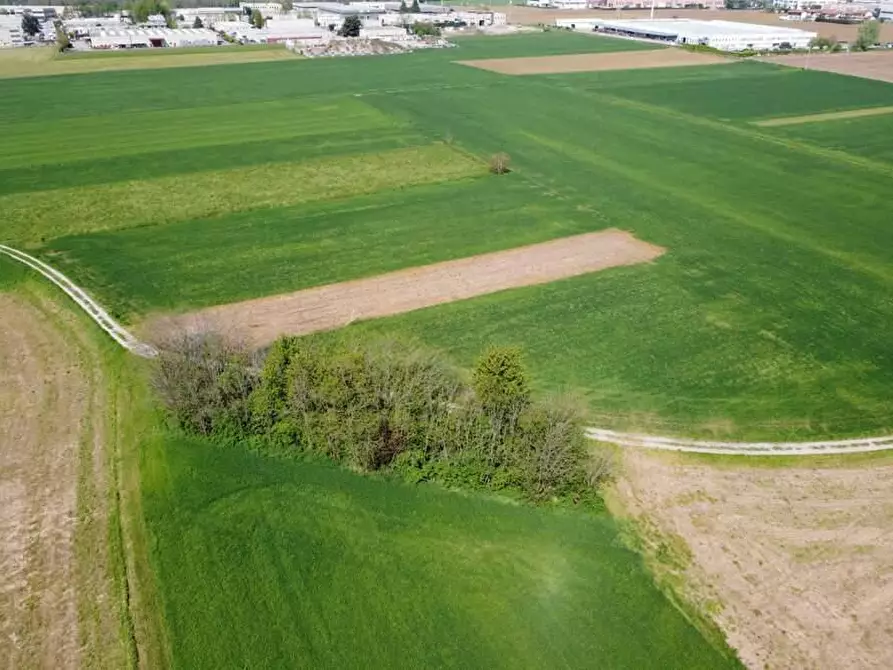 Immagine 2 di Terreno agricolo in vendita  in via livornese 783 a Pisa