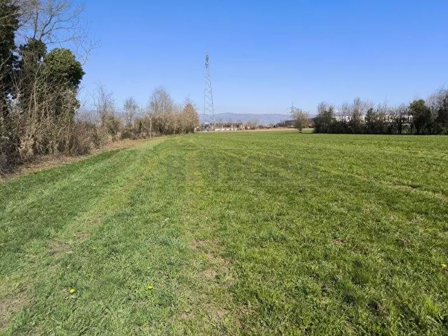 Immagine 3 di Terreno agricolo in vendita  in via livornese 783 a Pisa