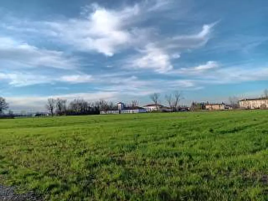 Immagine 4 di Terreno agricolo in vendita  in via livornese 783 a Pisa