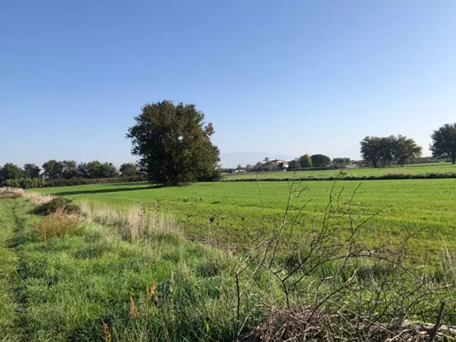 Immagine 5 di Terreno agricolo in vendita  in via livornese 783 a Pisa