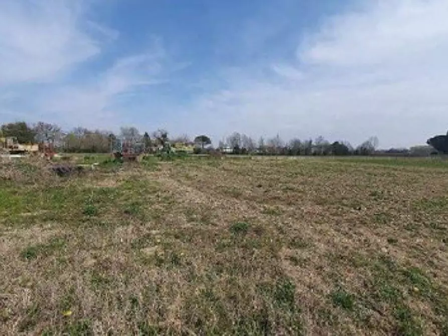 Immagine 6 di Terreno agricolo in vendita  in via livornese 783 a Pisa