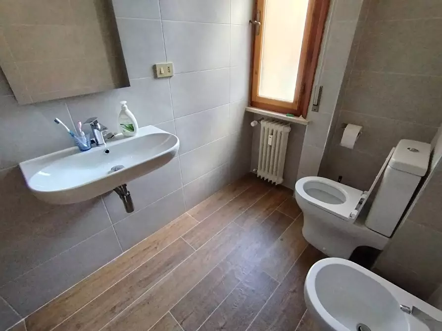 Immagine 11 di Camera in affitto  in Via Montello 18 a Pisa