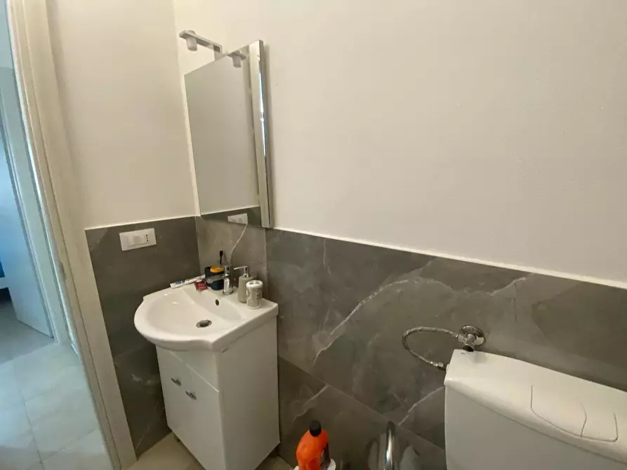 Immagine 7 di Appartamento in affitto  in Via San Iacopo 12 a Pisa