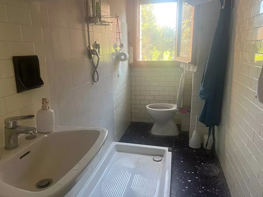 Immagine 7 di Camera in affitto  in Via Cecco Di Pietro a Pisa
