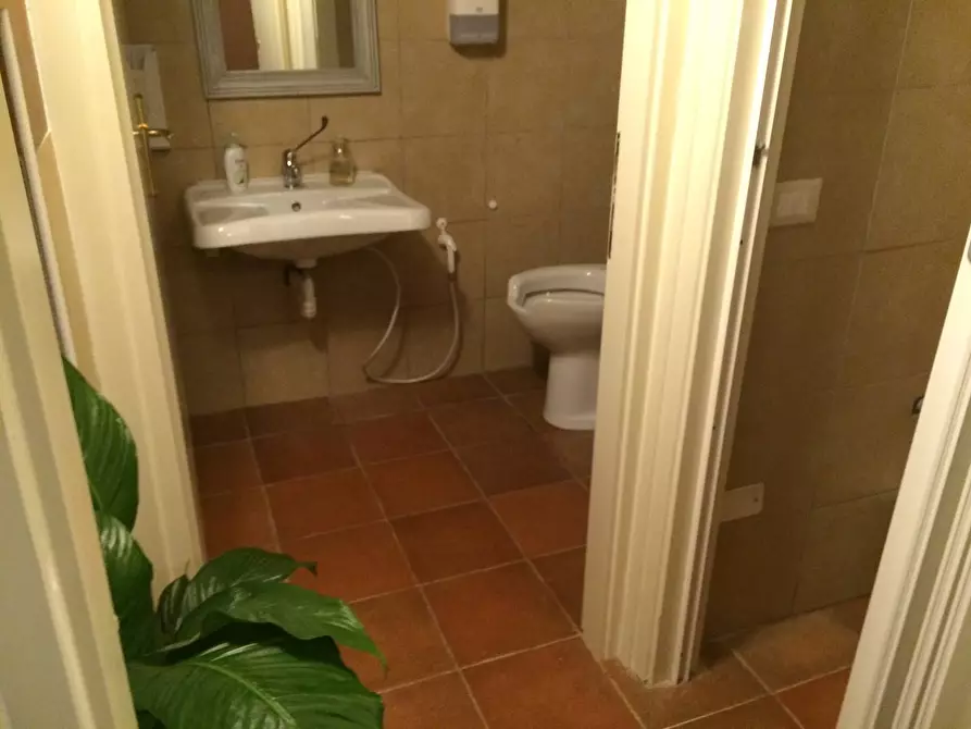 Immagine 5 di Attività commerciale in vendita  in via giuseppe verdi 1 a Pisa