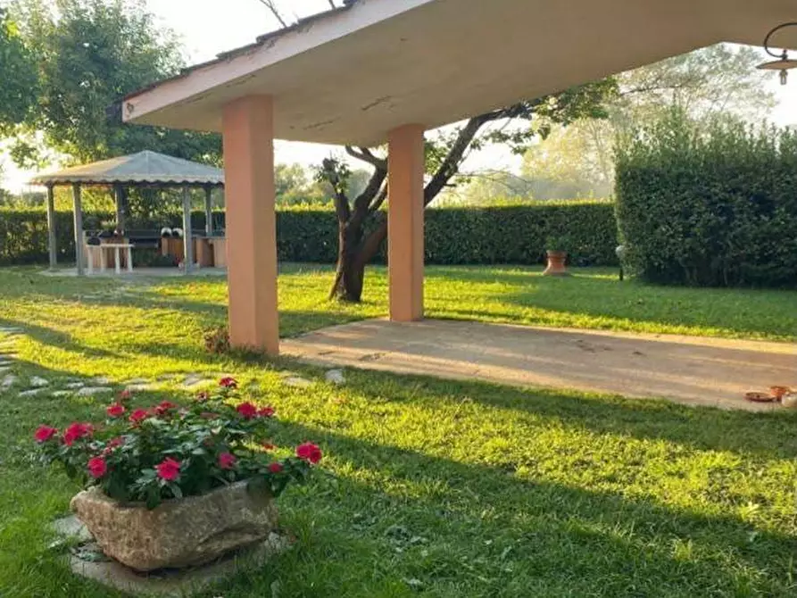 Immagine 15 di Casa indipendente in vendita  in via arginvecchio nord 10 a Camaiore