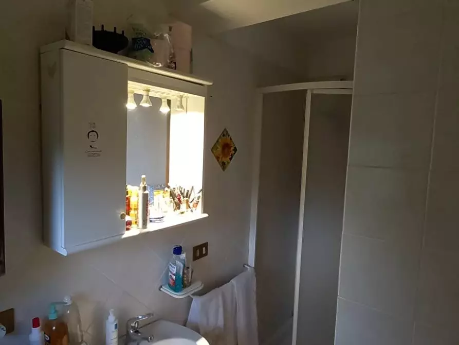 Immagine 4 di Appartamento in affitto  in Via San Frediano 1 a Pisa