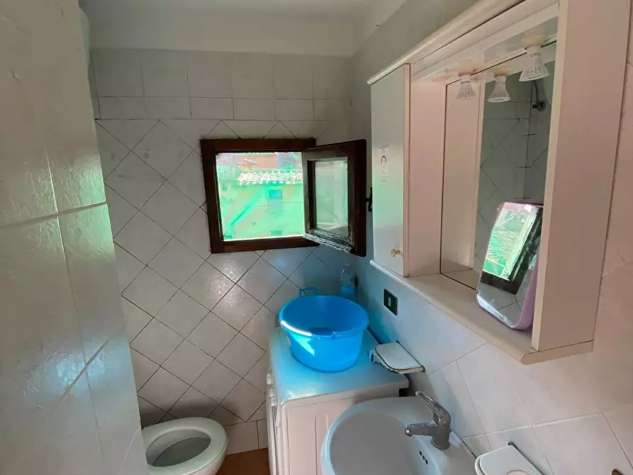 Immagine 13 di Appartamento in affitto  in Via San Frediano 1 a Pisa