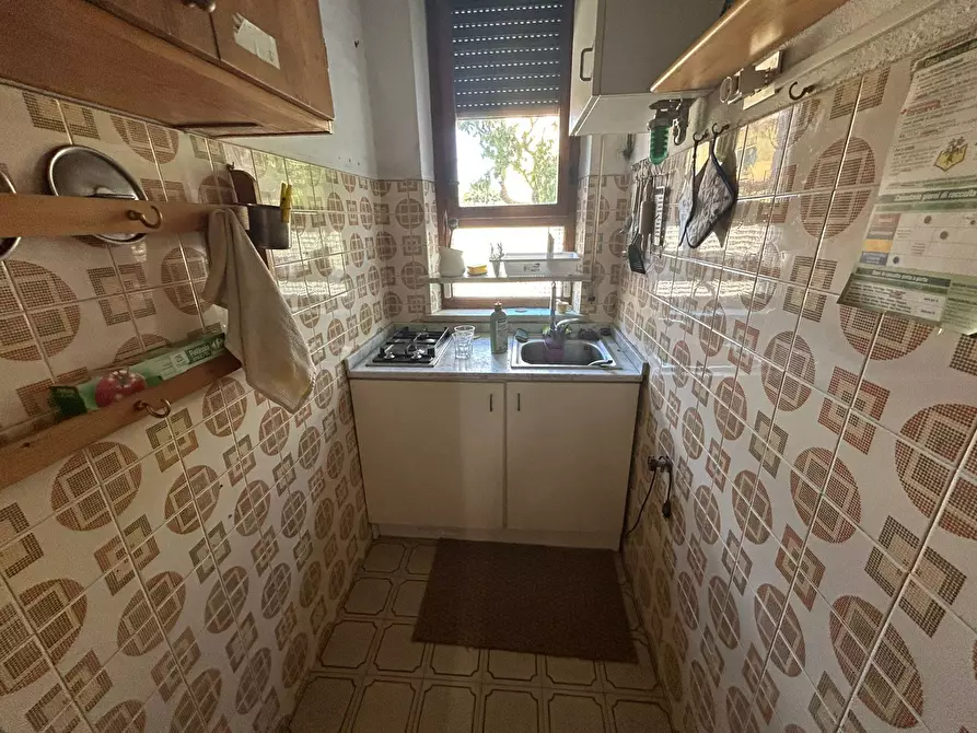 Immagine 13 di Casa indipendente in affitto  in Via Sempione 1 a Pisa