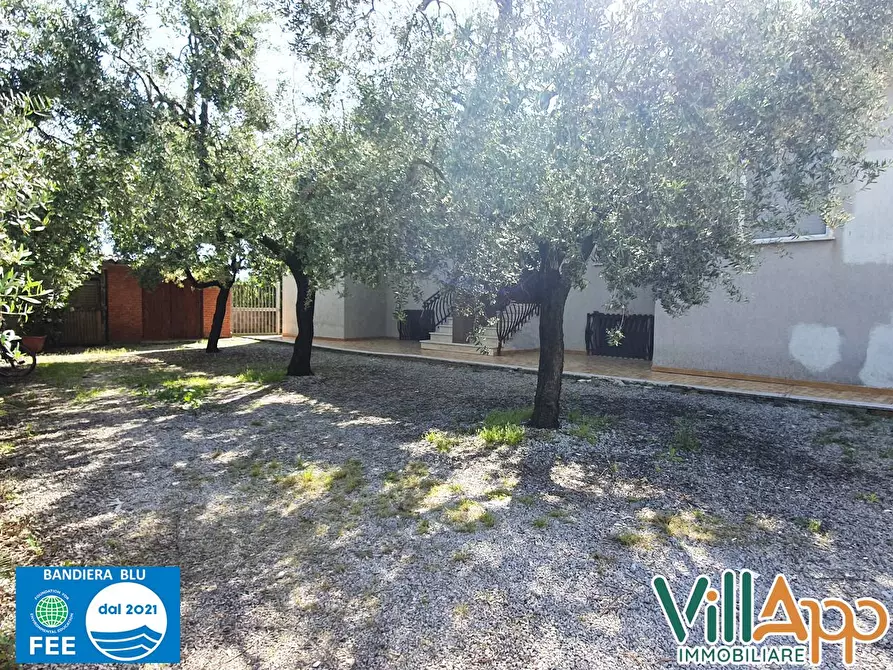 Immagine 4 di Villa in affitto  in Viale delle Magnolie 56 a Sperlonga