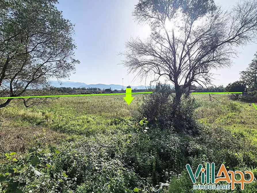 Immagine 4 di Terreno agricolo in vendita  in Via Appia 3500 a Fondi