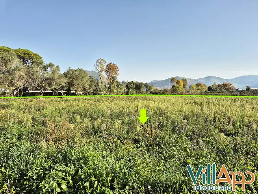 Immagine 5 di Terreno agricolo in vendita  in Via Appia 3500 a Fondi