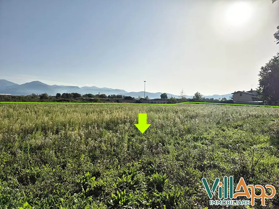 Immagine 6 di Terreno agricolo in vendita  in Via Appia 3500 a Fondi