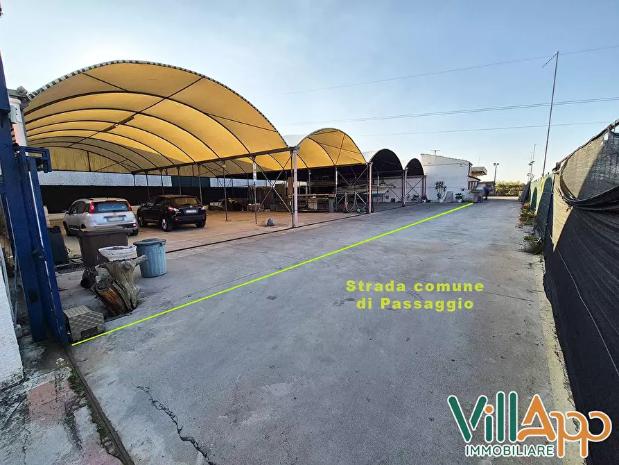 Immagine 1 di Terreno agricolo in vendita  in Via Diversivo Acquachiara snc a Fondi