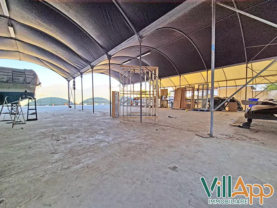 Immagine 5 di Terreno agricolo in vendita  in Via Diversivo Acquachiara snc a Fondi