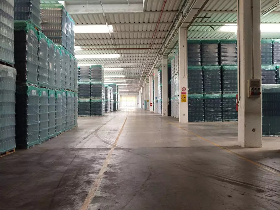 Immagine 21 di Capannone industriale in vendita  in Via G.Stefani a Pravisdomini