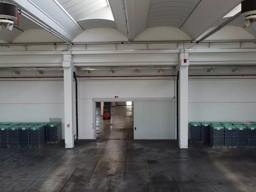 Immagine 24 di Capannone industriale in vendita  in Via G.Stefani a Pravisdomini