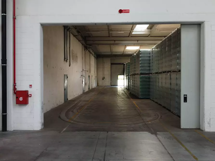 Immagine 25 di Capannone industriale in vendita  in Via G.Stefani a Pravisdomini
