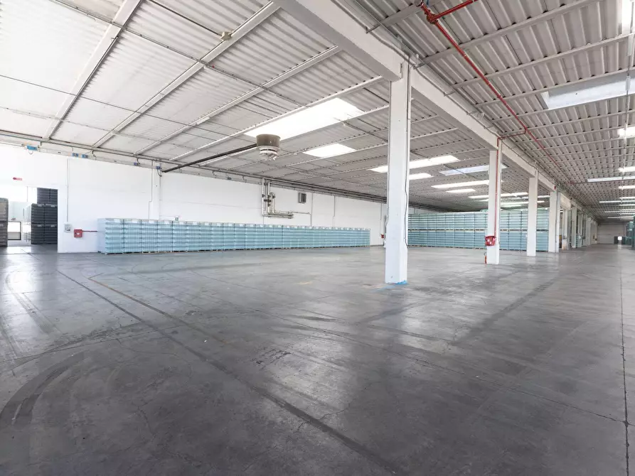 Immagine 27 di Capannone industriale in vendita  in Via G.Stefani a Pravisdomini