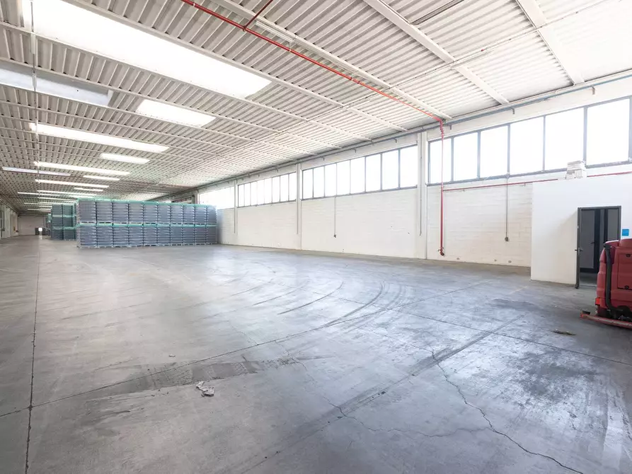 Immagine 28 di Capannone industriale in vendita  in Via G.Stefani a Pravisdomini