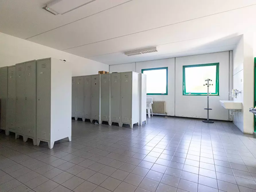 Immagine 26 di Capannone industriale in vendita  in Via del Commercio 1 a Oderzo