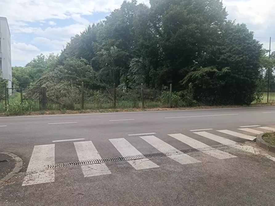 Immagine 2 di Terreno residenziale in vendita  in Via dello Stadio 9 a Pordenone