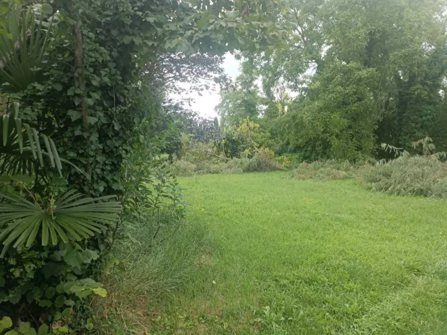 Immagine 3 di Terreno residenziale in vendita  in Via dello Stadio 9 a Pordenone