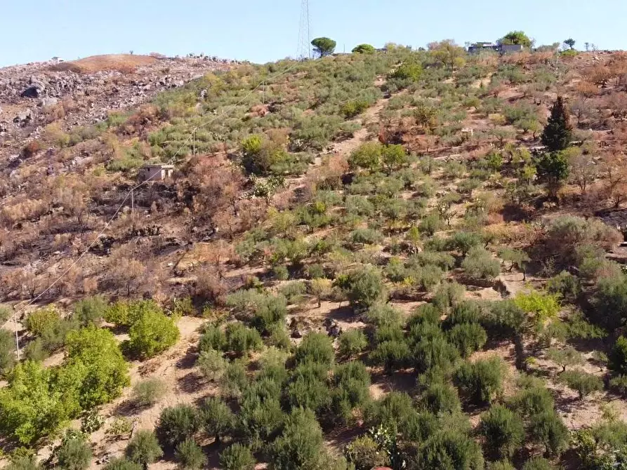 Immagine 23 di Terreno agricolo in vendita  in via ferrovia est 116 a Altofonte