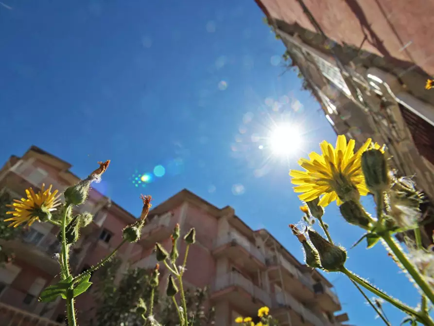 Immagine 98 di Appartamento in vendita  in via giuseppe fava 1 a Villabate