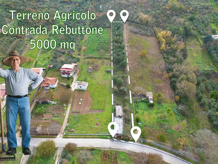 Immagine 2 di Terreno agricolo in vendita  in via rebuttone 64 a Altofonte