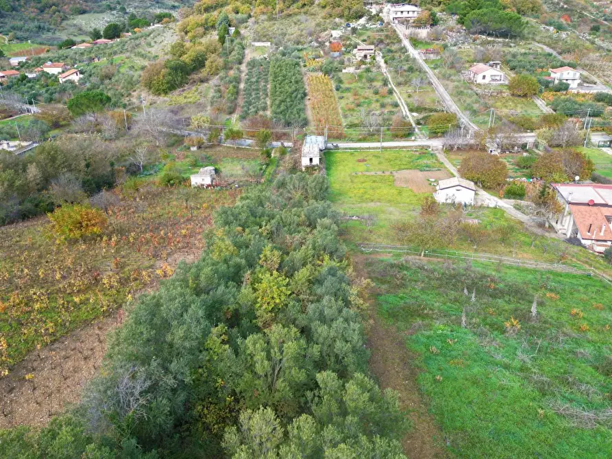 Immagine 3 di Terreno agricolo in vendita  in via rebuttone 64 a Altofonte
