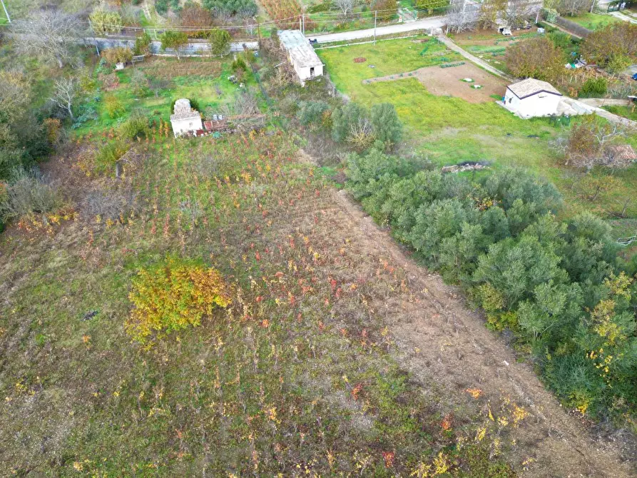 Immagine 5 di Terreno agricolo in vendita  in via rebuttone 64 a Altofonte