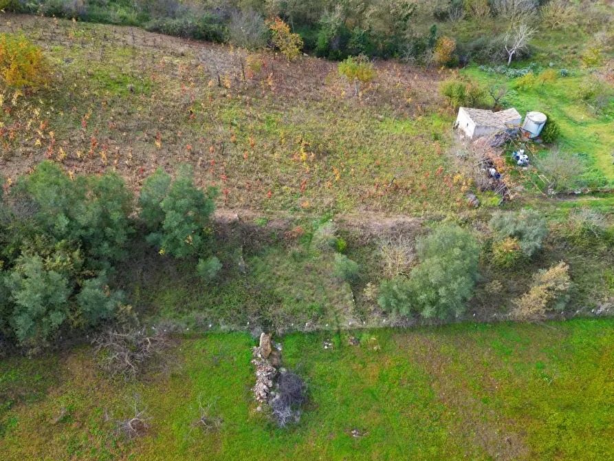 Immagine 6 di Terreno agricolo in vendita  in via rebuttone 64 a Altofonte