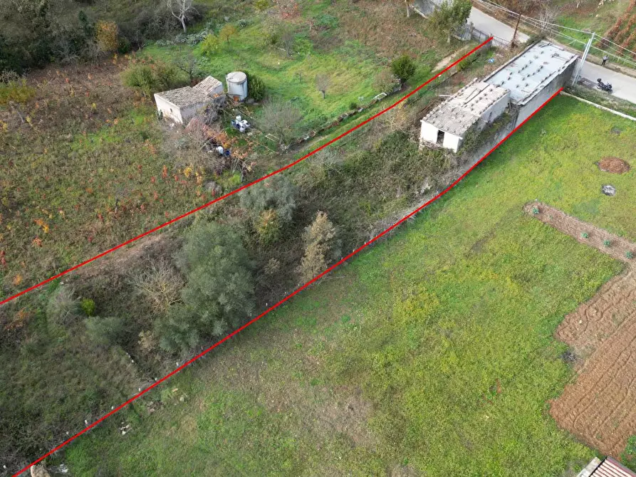 Immagine 7 di Terreno agricolo in vendita  in via rebuttone 64 a Altofonte